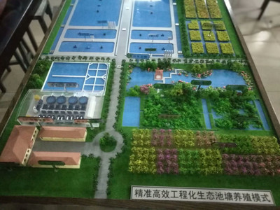西藏農(nóng)科院水產(chǎn)養(yǎng)殖數(shù)字化 科技賦能雪域高原，設(shè)計(jì)譜寫新篇章